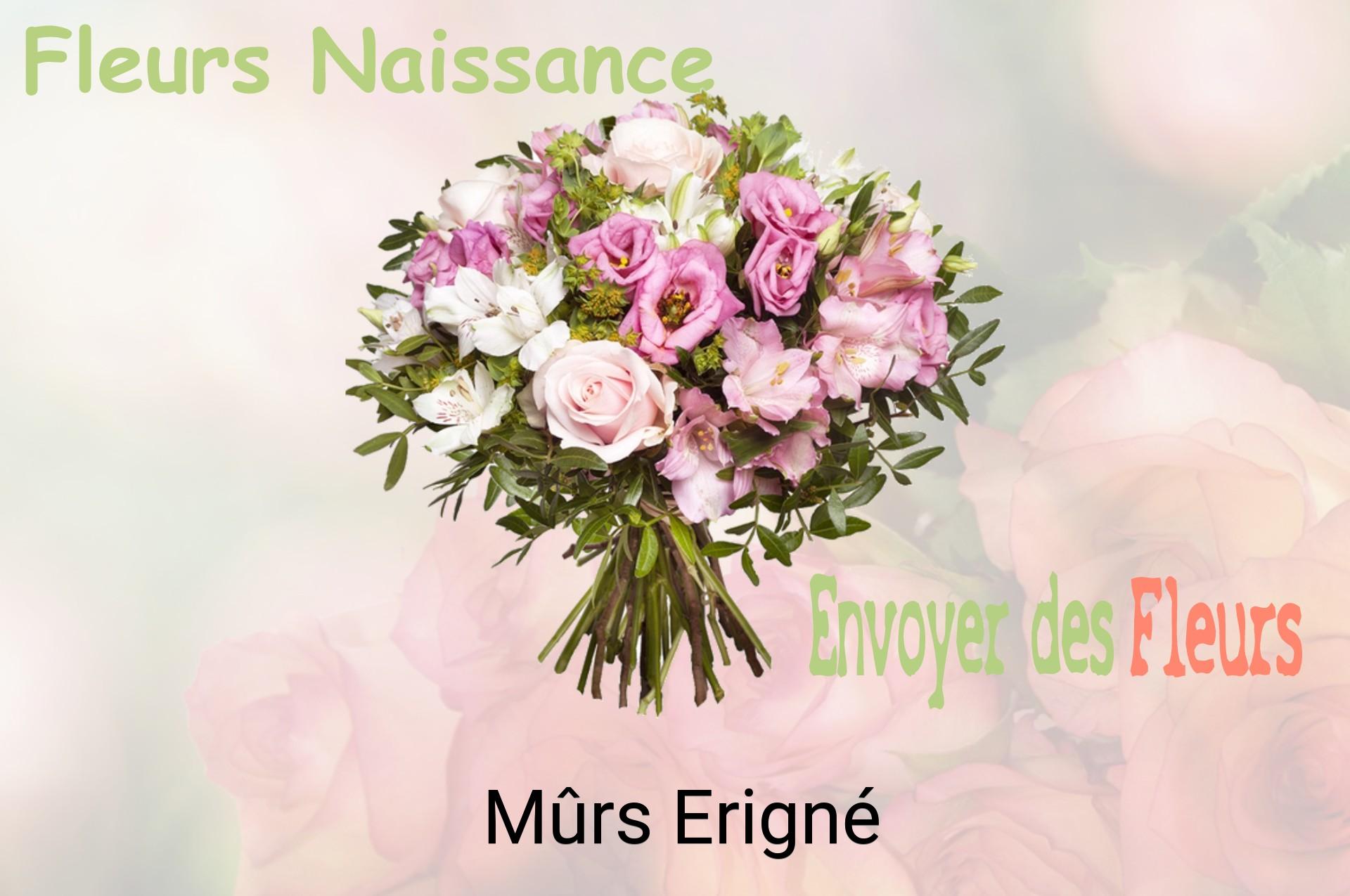Bouquet de fleurs de naissance livré à Mûrs-Erigné